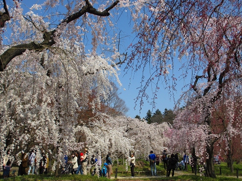b0145863_1285625.jpg