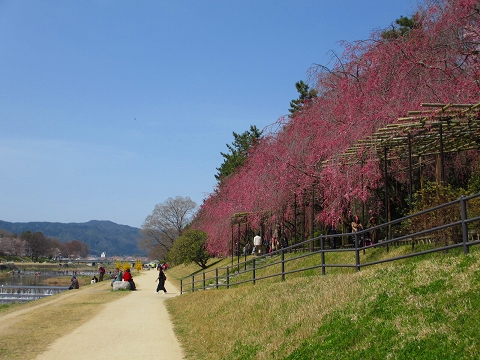 b0145863_1324956.jpg