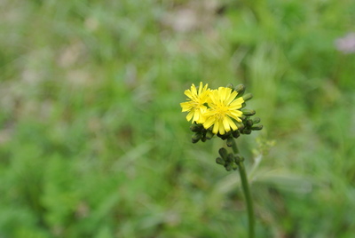 b0267163_1222241.jpg