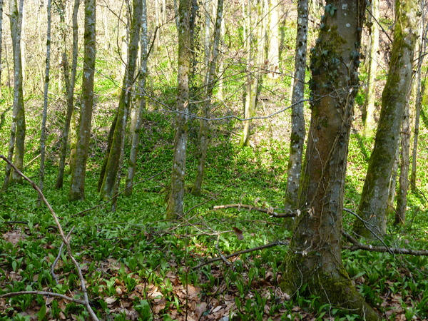 c0287366_2371887.jpg