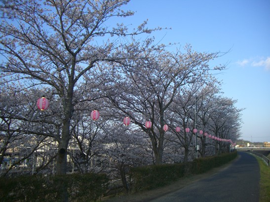 e0240973_19243757.jpg