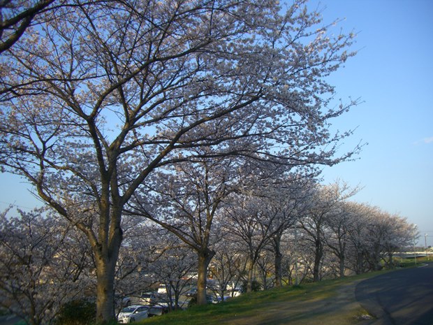 e0240973_192548100.jpg