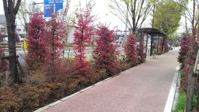 f0004076_0494510.jpg