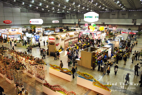 f0054594_3121574.jpg