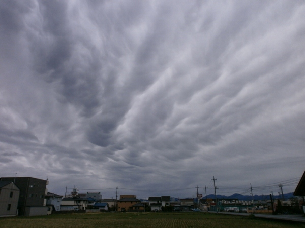 d0000995_9122117.jpg