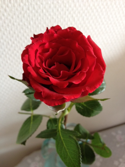 f0204295_21535364.jpg