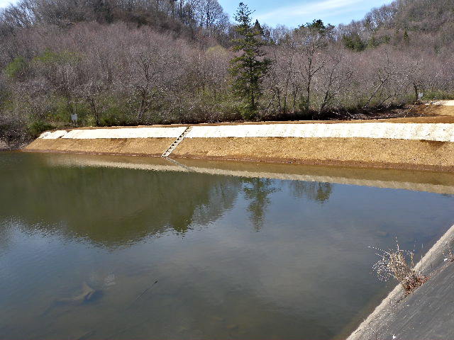 a0199297_1346342.jpg