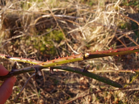 b0110999_17254740.jpg