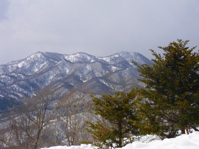 f0157901_18165396.jpg