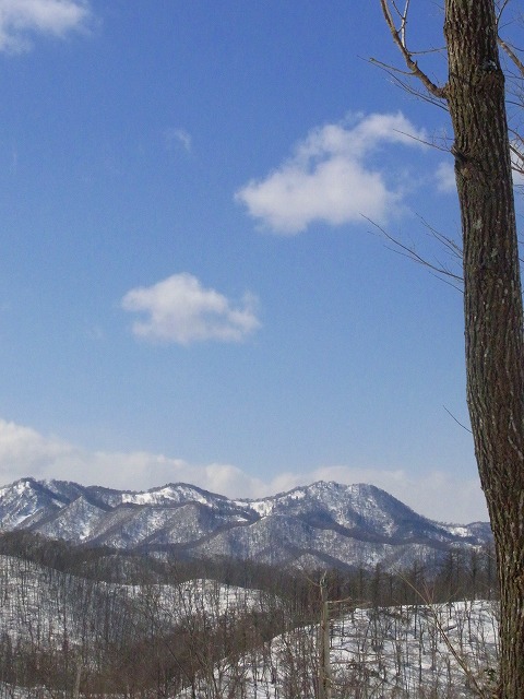 f0157901_18175154.jpg