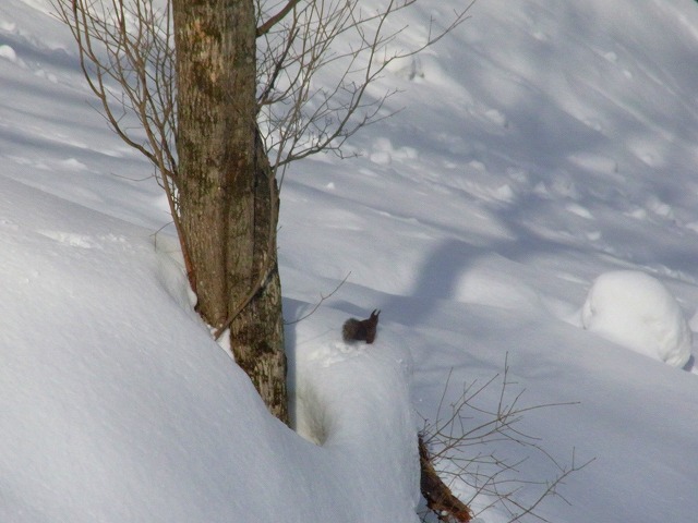 f0157901_18191422.jpg