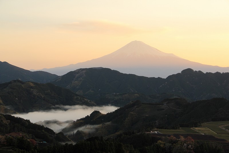 a0188405_2116279.jpg