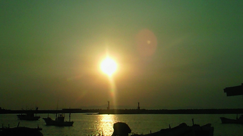 d0149105_19451054.jpg