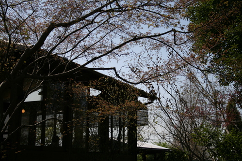 a0139007_1339282.jpg