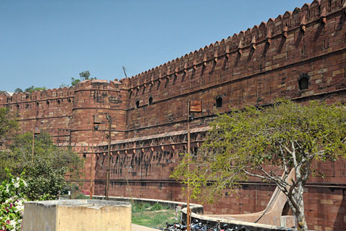 a0278809_8514531.jpg