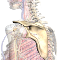 b0112009_75348.png
