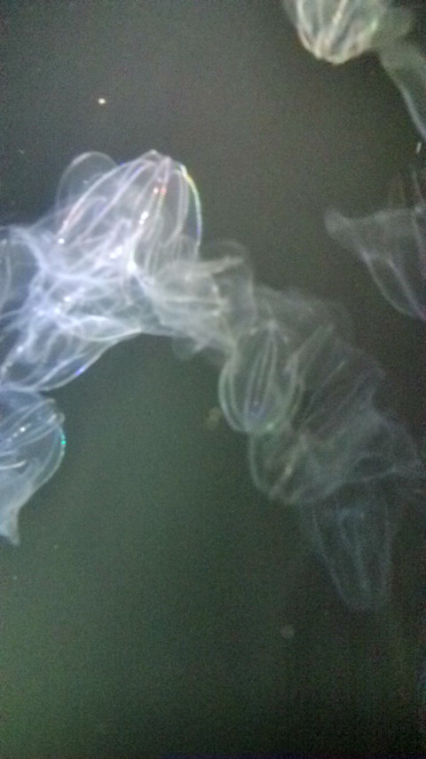 e0138314_2265986.jpg