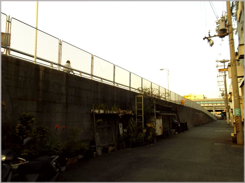 d0133024_14191474.jpg