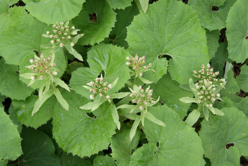 c0184125_22482650.jpg