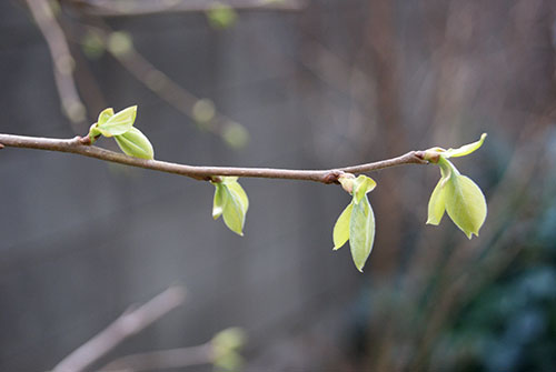 c0184125_2248915.jpg