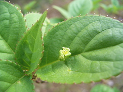 f0213825_2116690.jpg