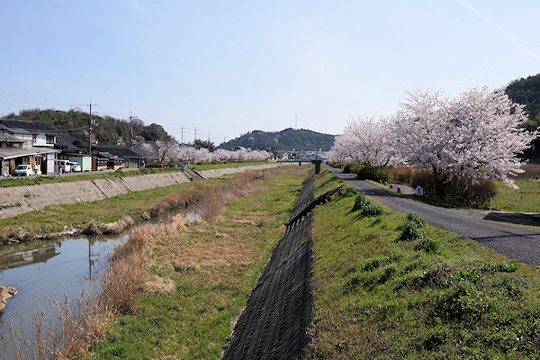 f0007926_9261148.jpg