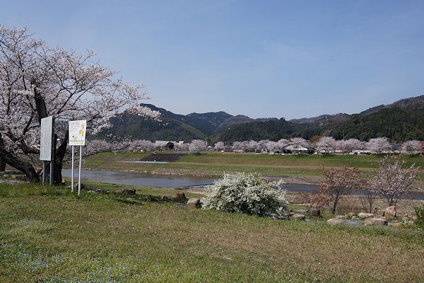 f0007926_9263913.jpg