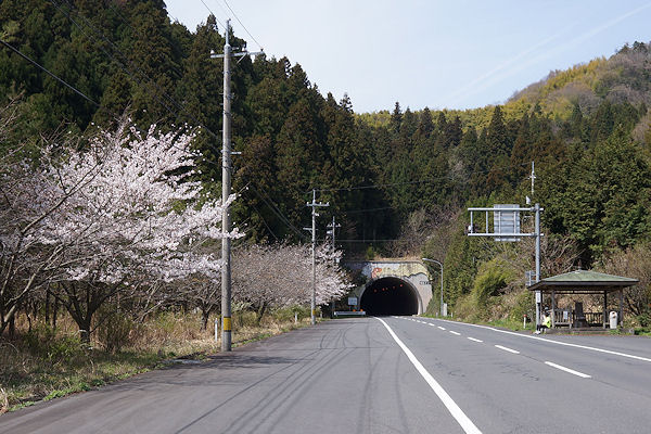 f0007926_9264949.jpg