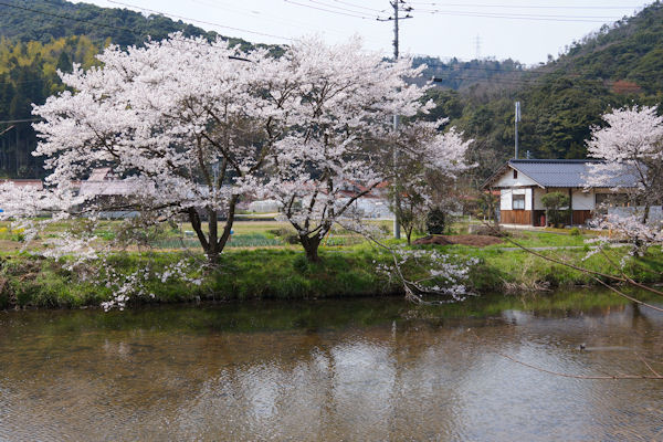 f0007926_9265621.jpg
