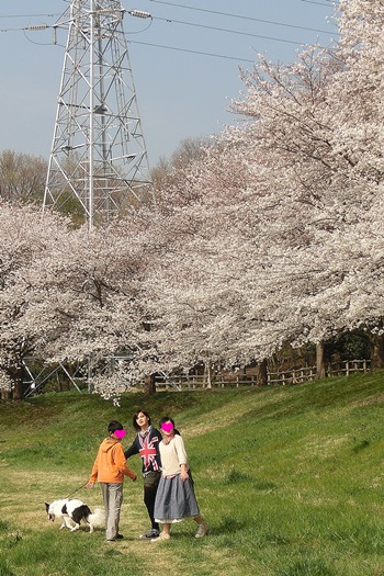 b0279527_2163686.jpg