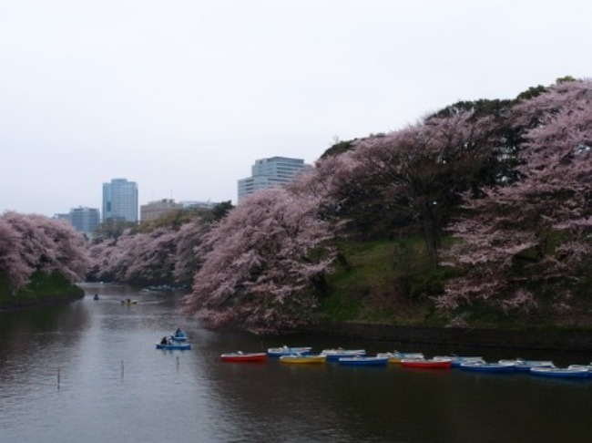 f0234728_16205370.jpg