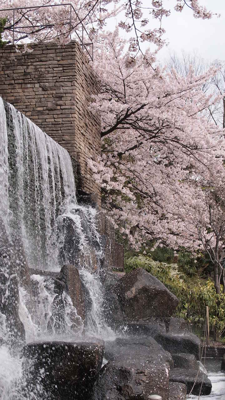 a0214329_1013224.jpg