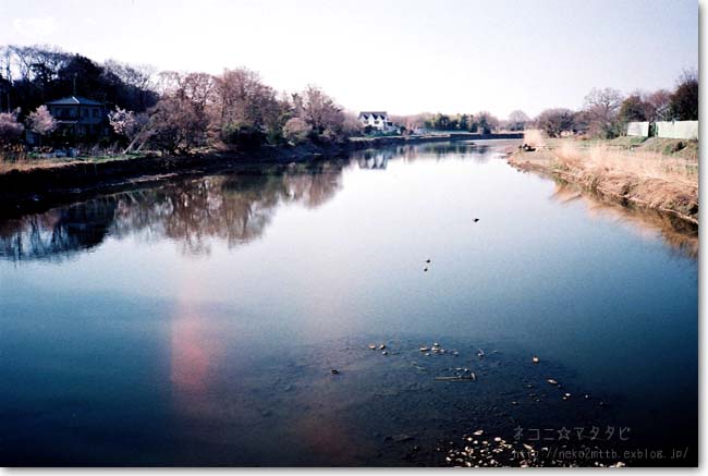 c0221529_2343314.jpg