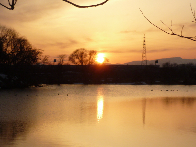 e0131541_2239969.jpg