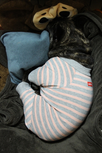 e0234741_23201239.jpg