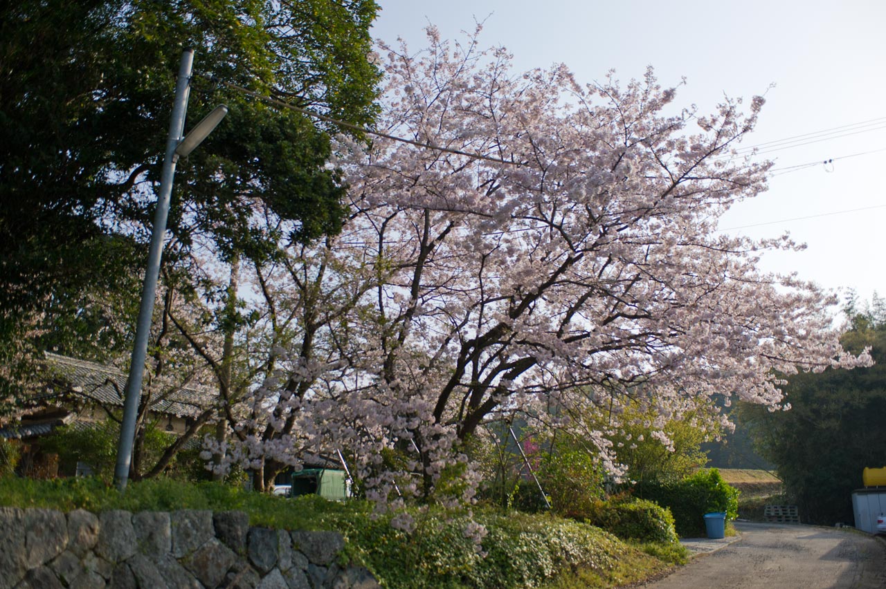 b0023047_5134530.jpg