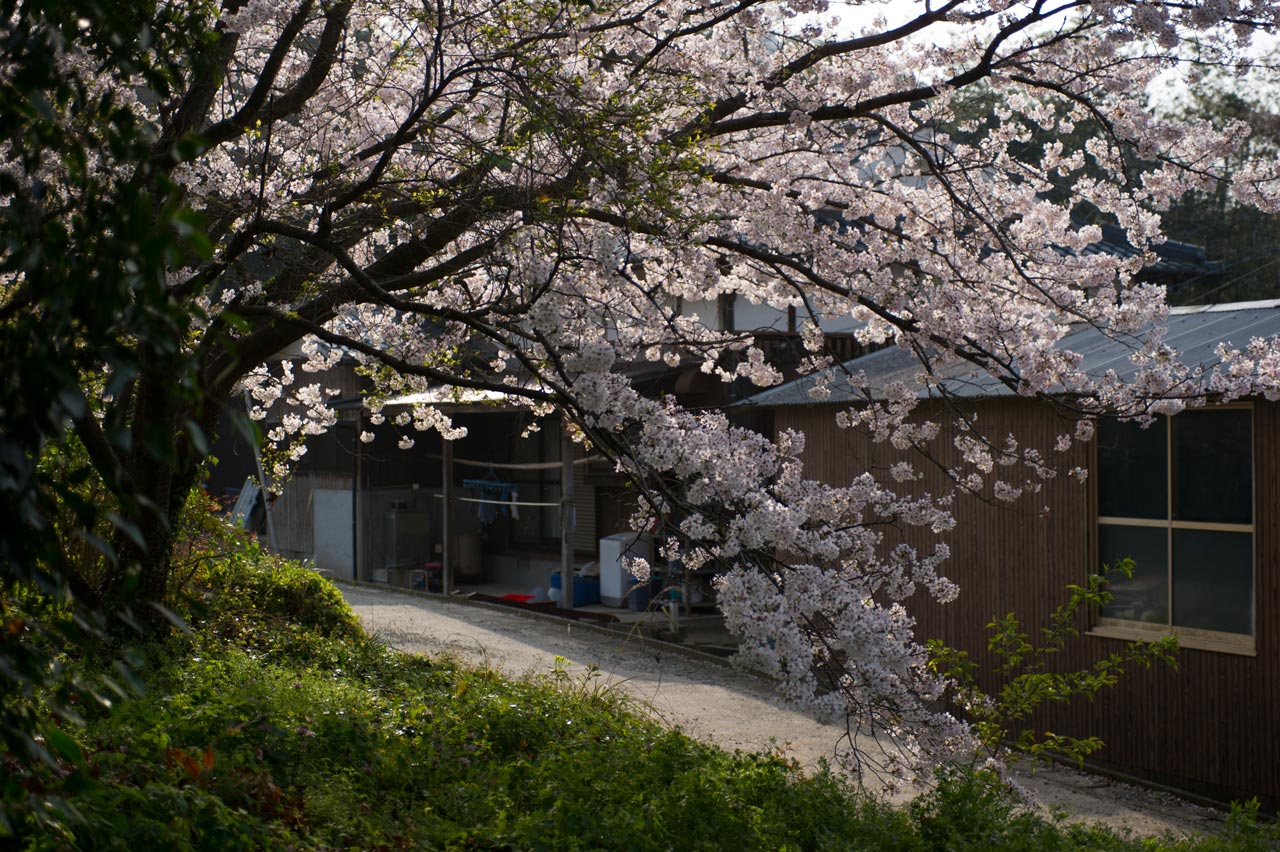 b0023047_5135651.jpg