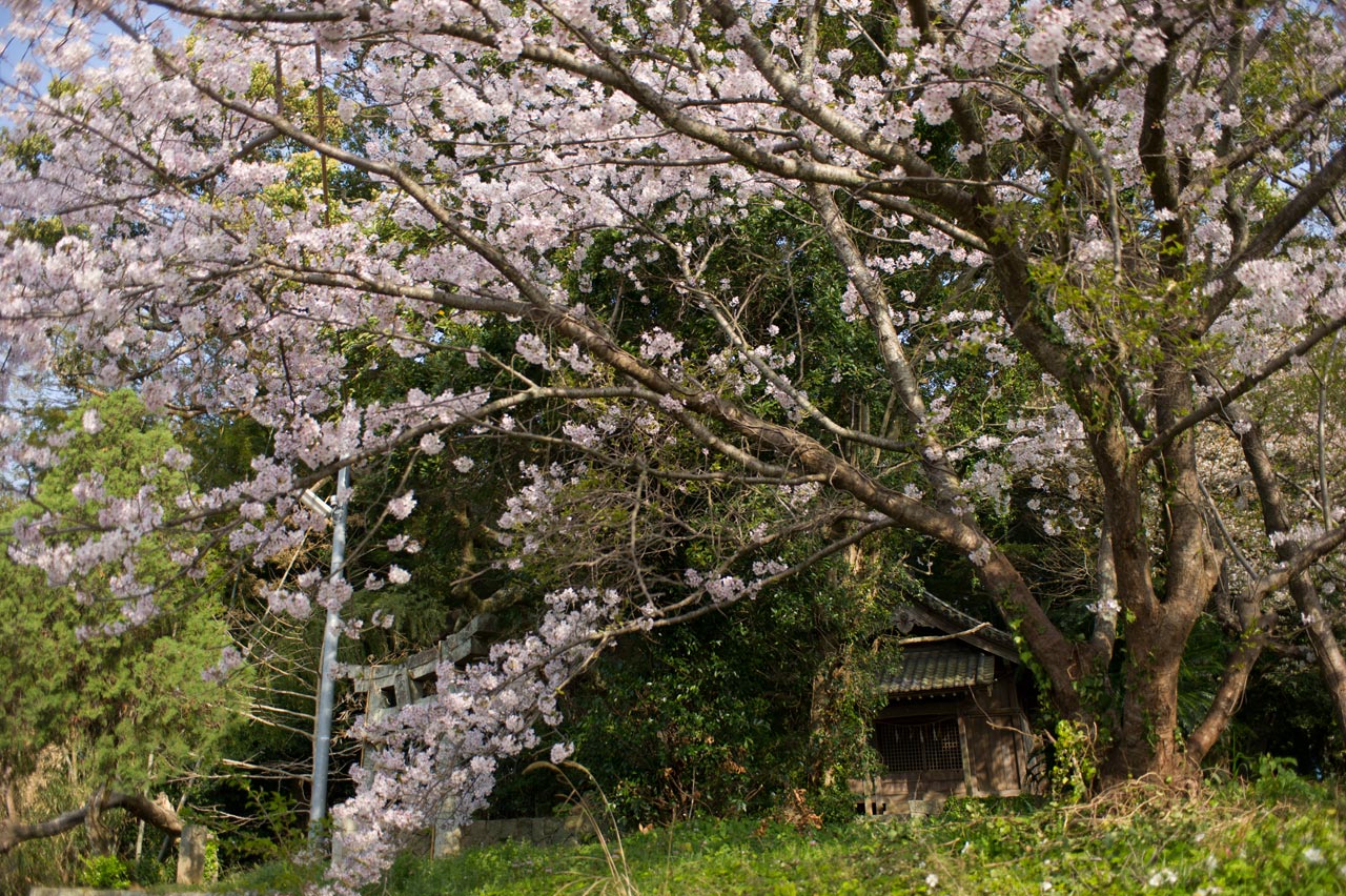 b0023047_5141336.jpg