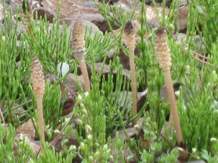b0289649_20254229.jpg