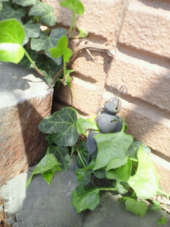 e0150849_19211975.jpg