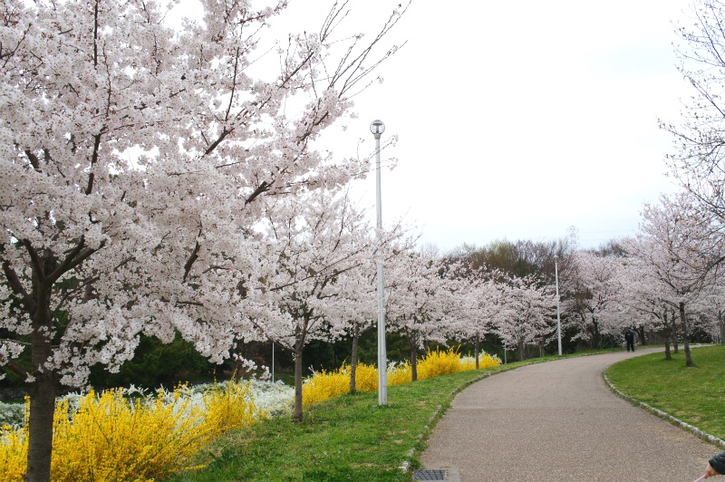 c0043751_140357.jpg