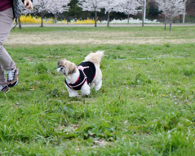 c0043751_1444323.jpg