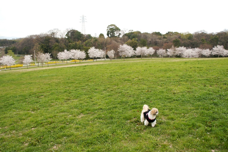 c0043751_1523716.jpg