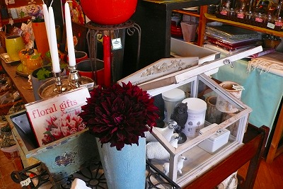 e0001860_1652528.jpg