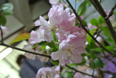 b0267163_17265763.jpg