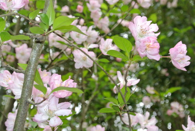 b0267163_17342120.jpg