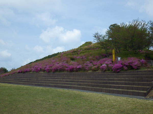 a0112066_14295925.jpg