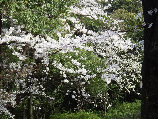 e0143671_112642.jpg