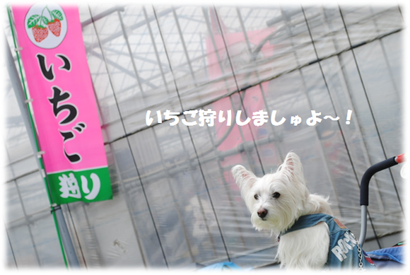 b0242873_2315144.png