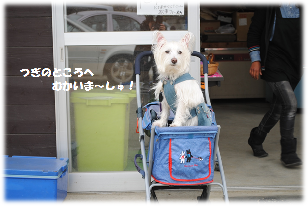 b0242873_23215950.png